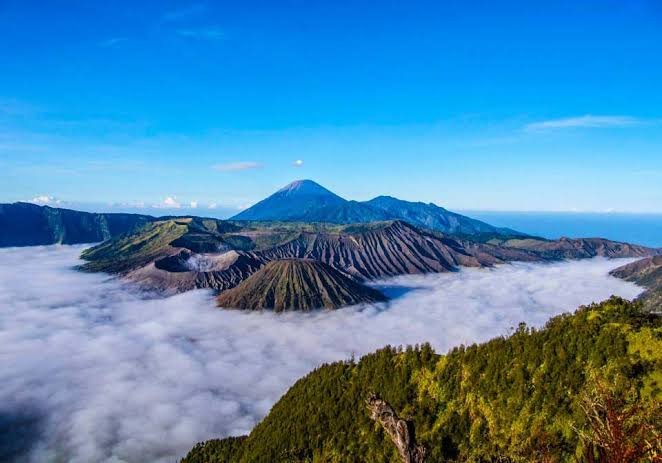 WISATA BROMO